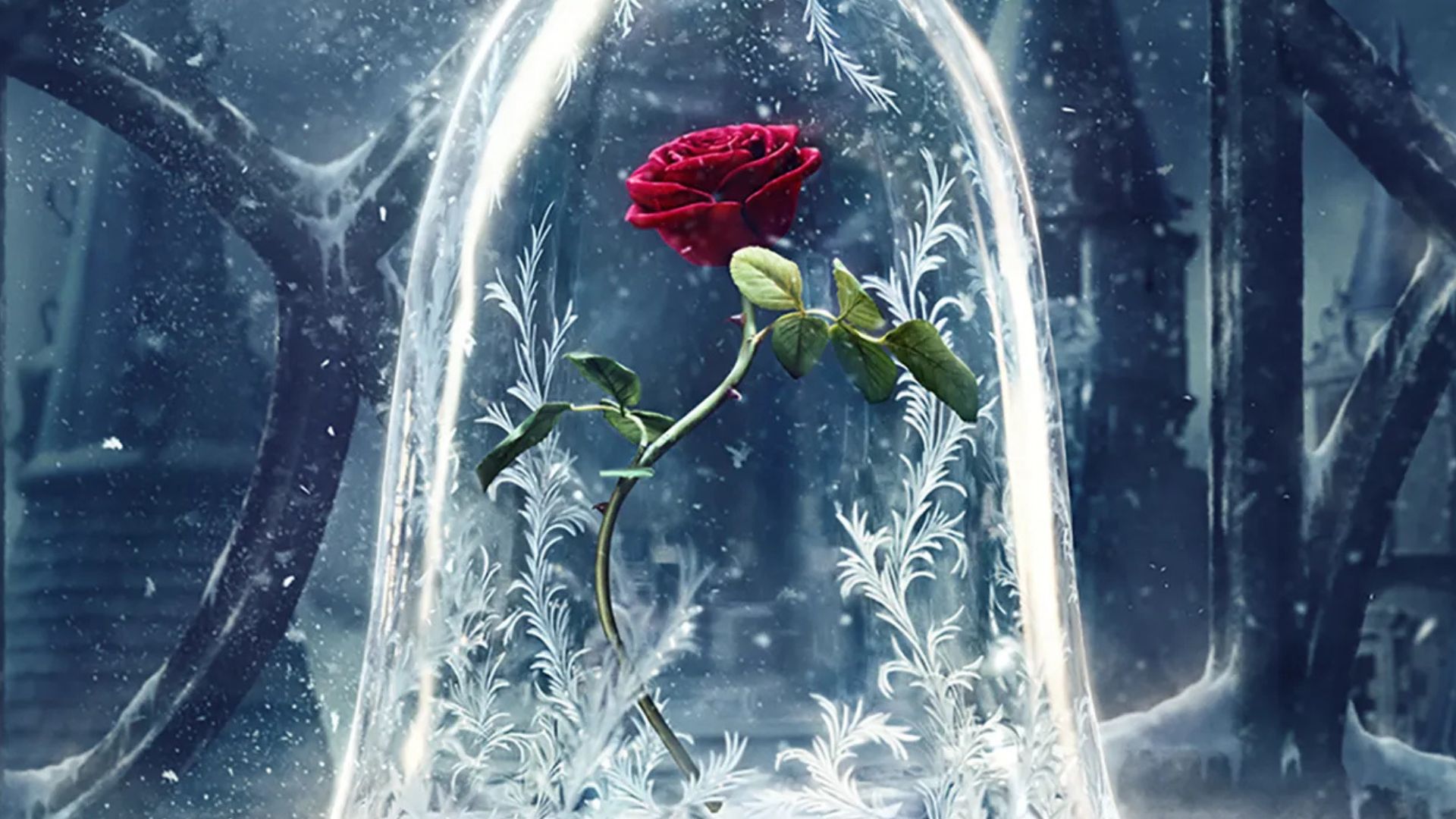 Rosa La bella y la bestia datos curiosos
