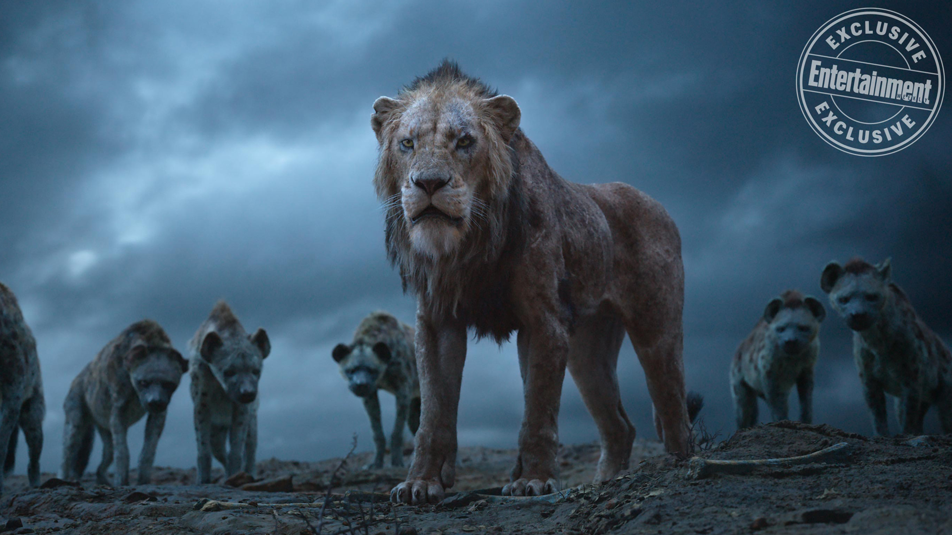 el rey leon universo cinematográfico