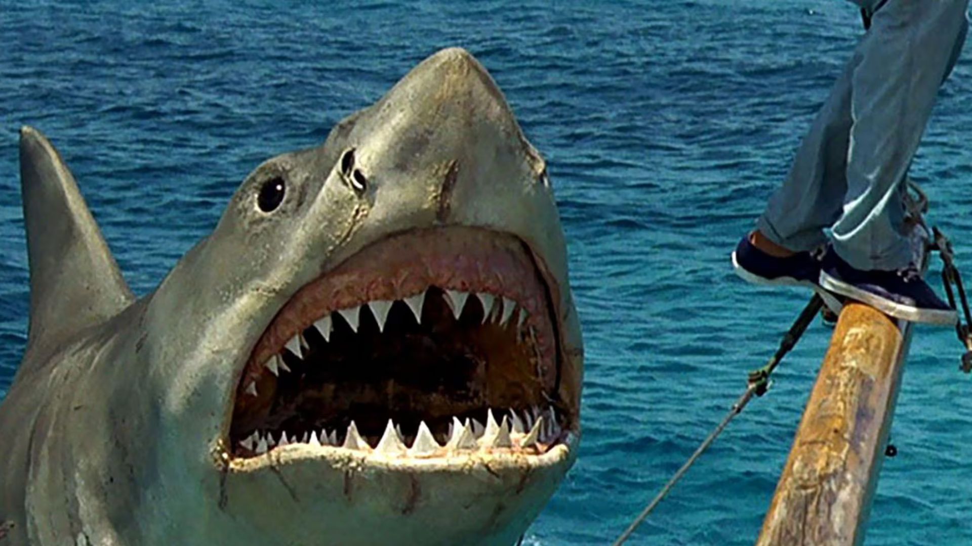 Tiburón Mejores monstruos de películas