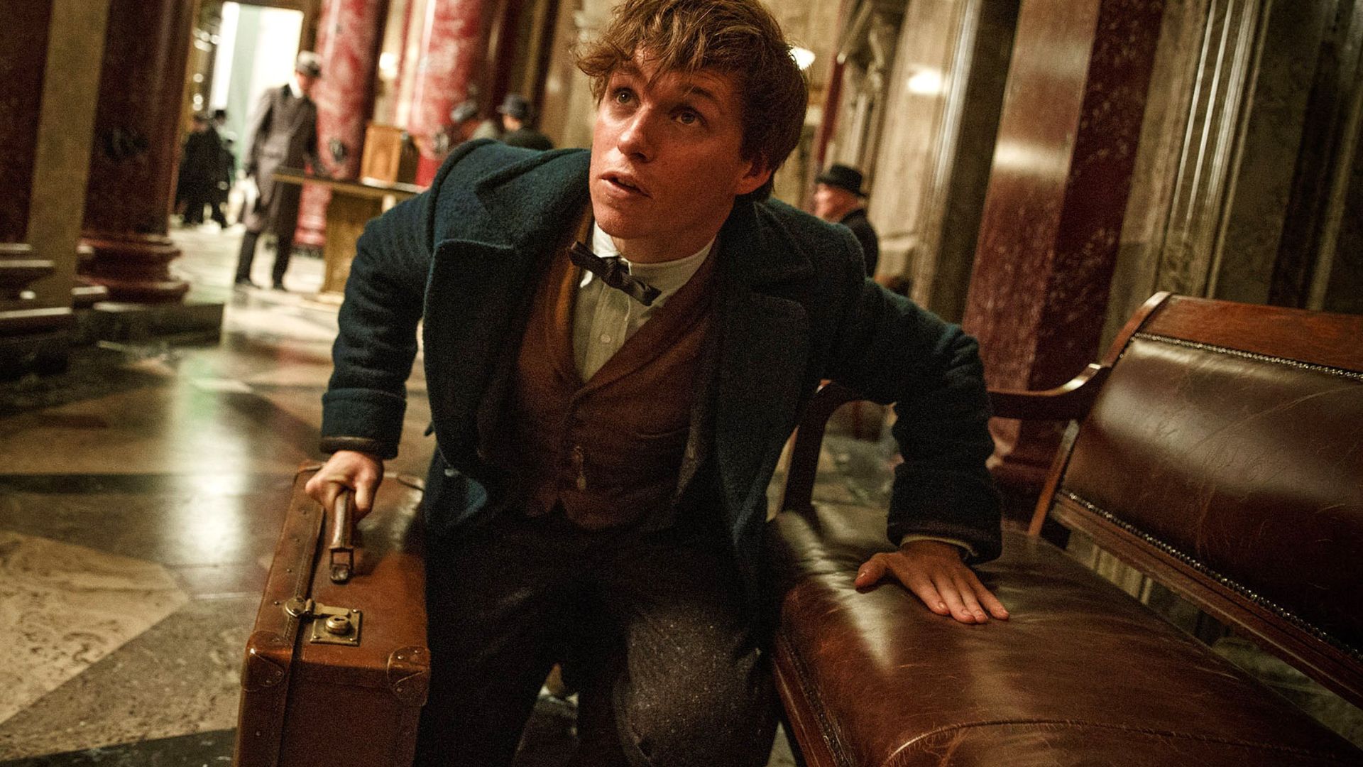 eddie redmayne como newt scamander en animales fantasticos 2