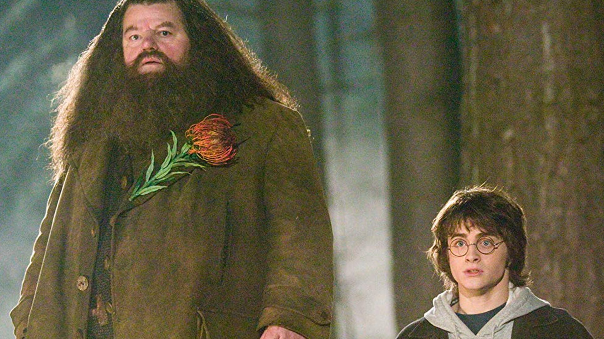 escena harry potter y hagrid peliculas