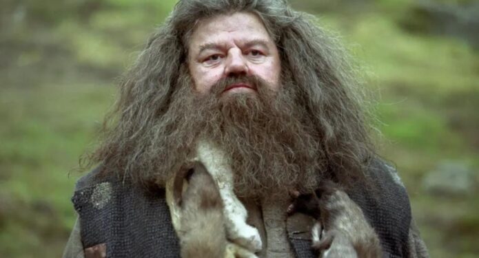 robbie coltrane como hagrid en la saga de harry potter 2