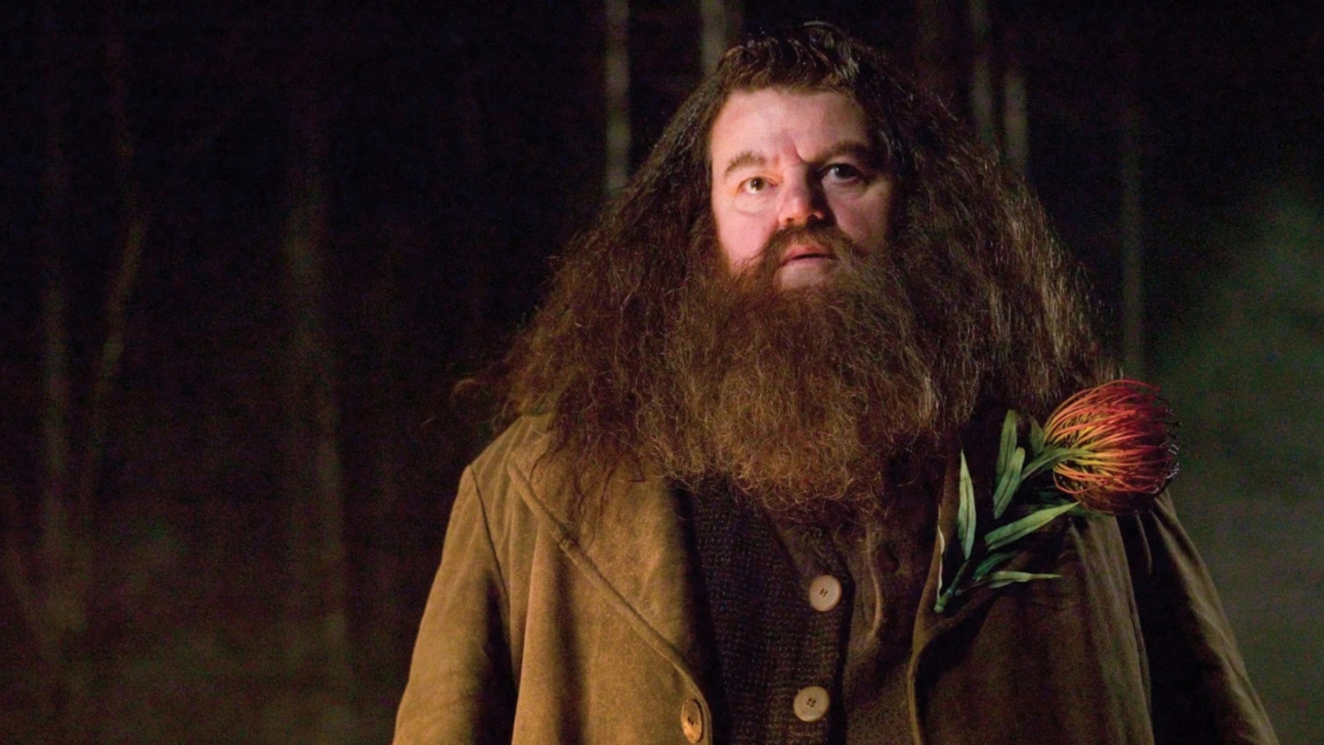 Robbie Coltrane Harry Potter muerte