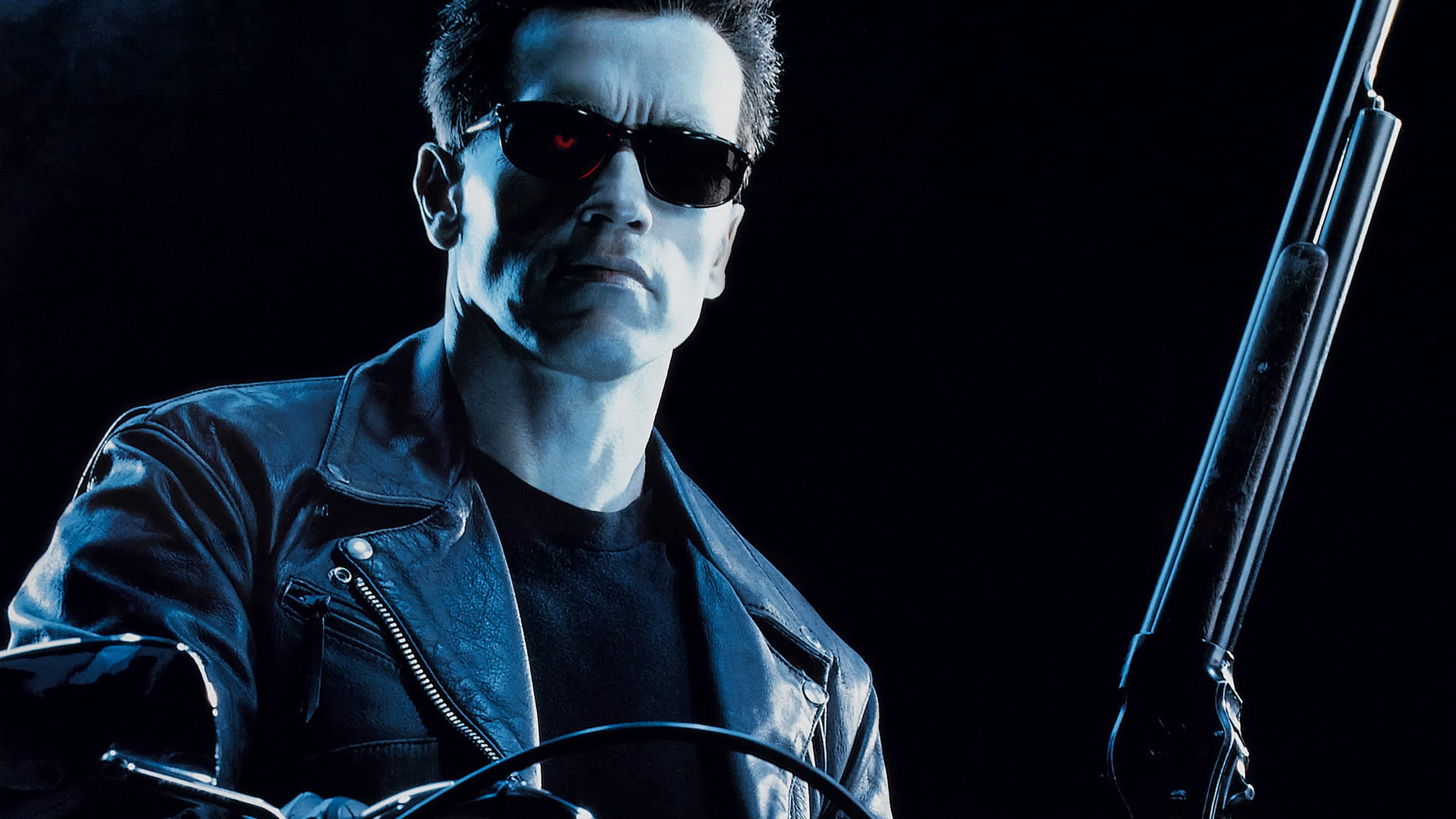 terminator 2 arnold schwarzenegger james cameron