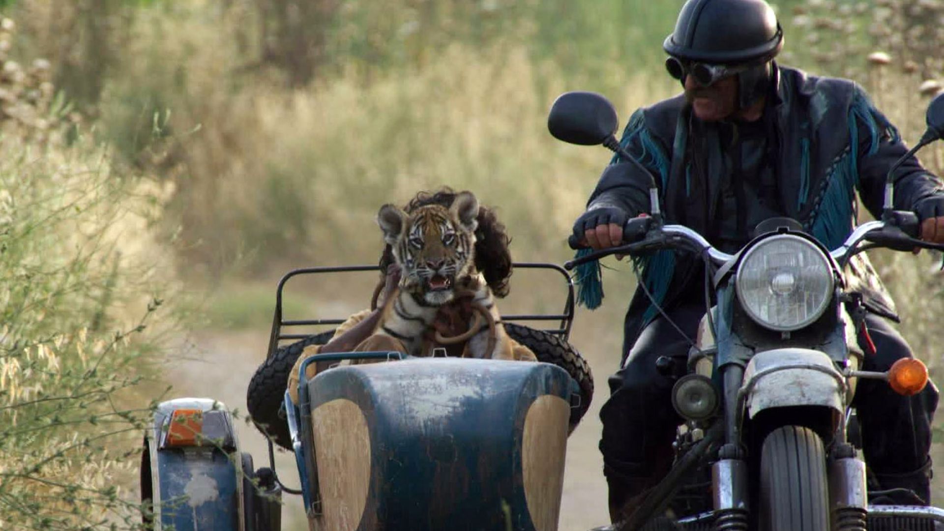 el nino y el tigre pelicula familiar animales stills estreno (1)