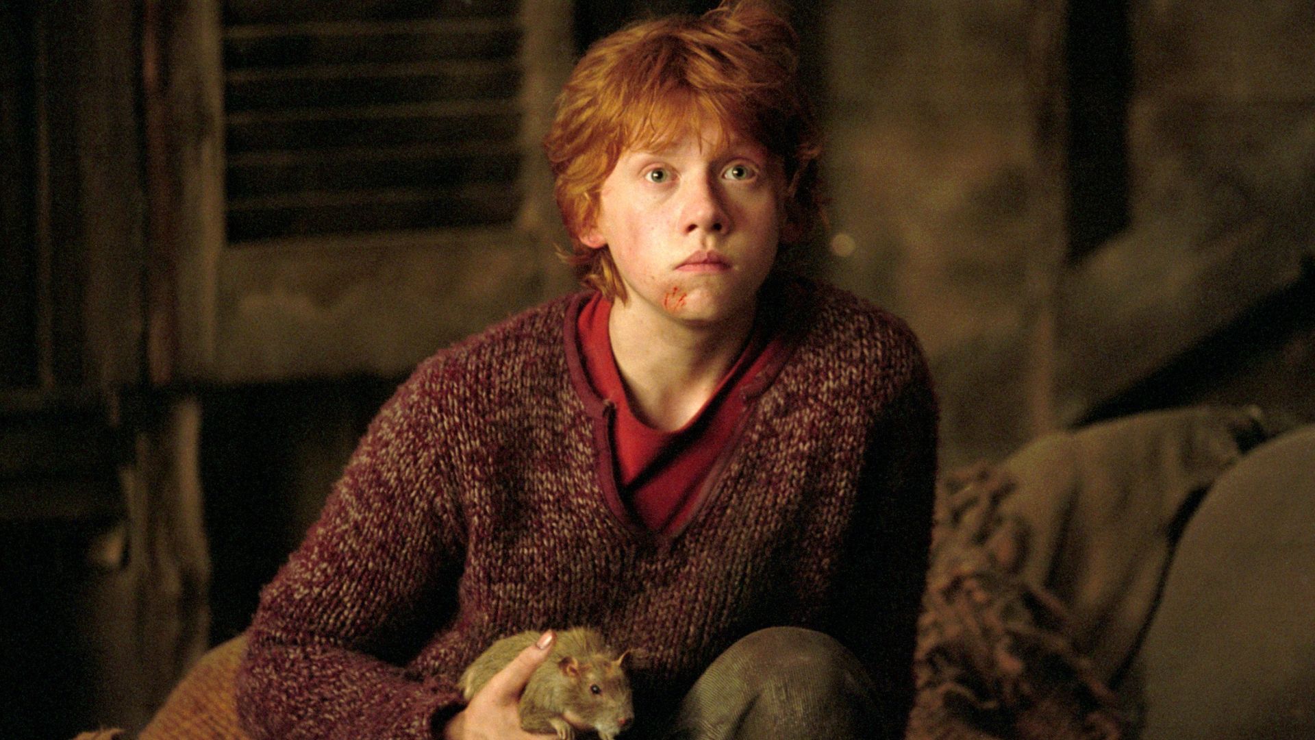 Ron Weasley actor 