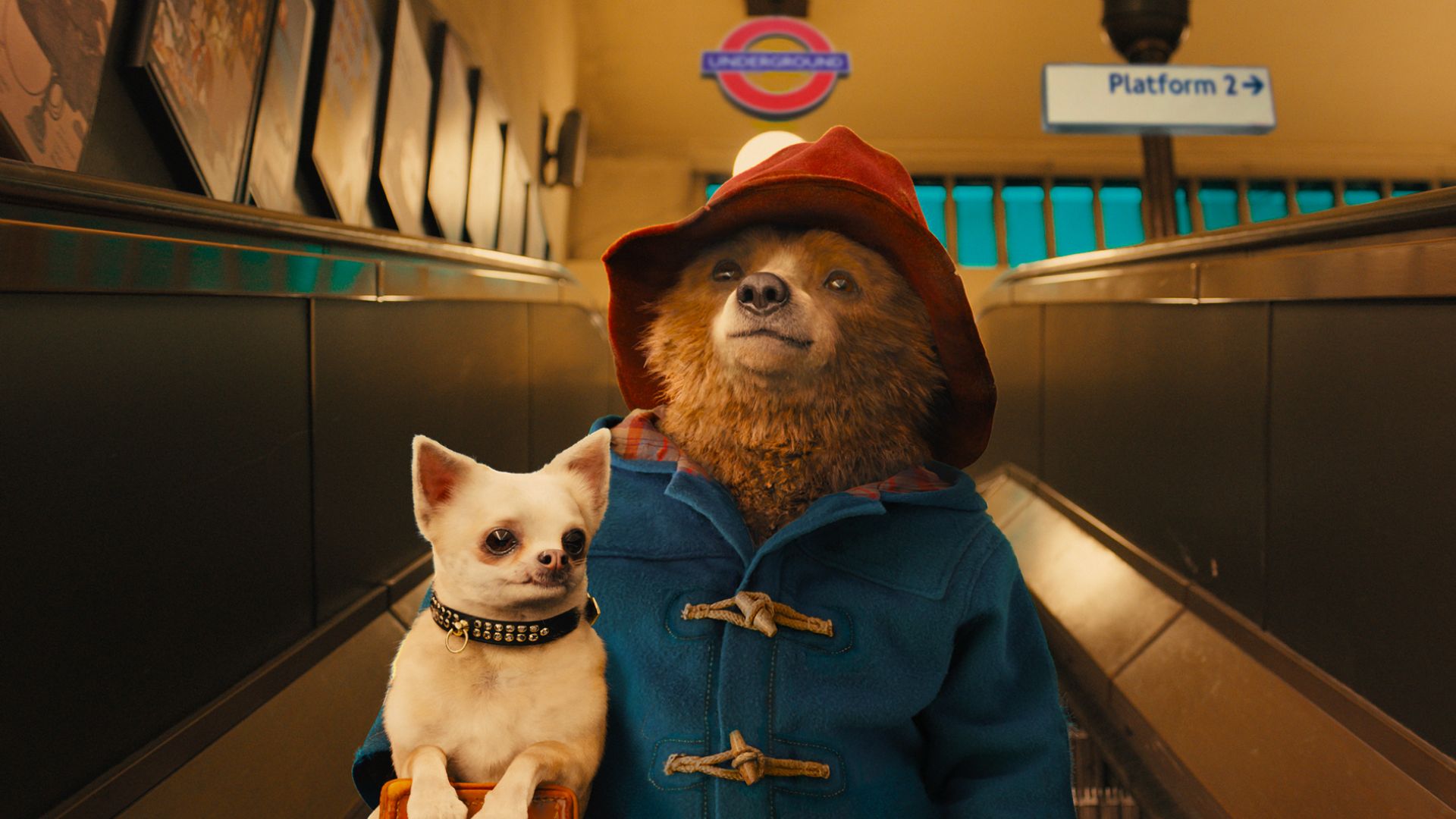 imagen de paddington