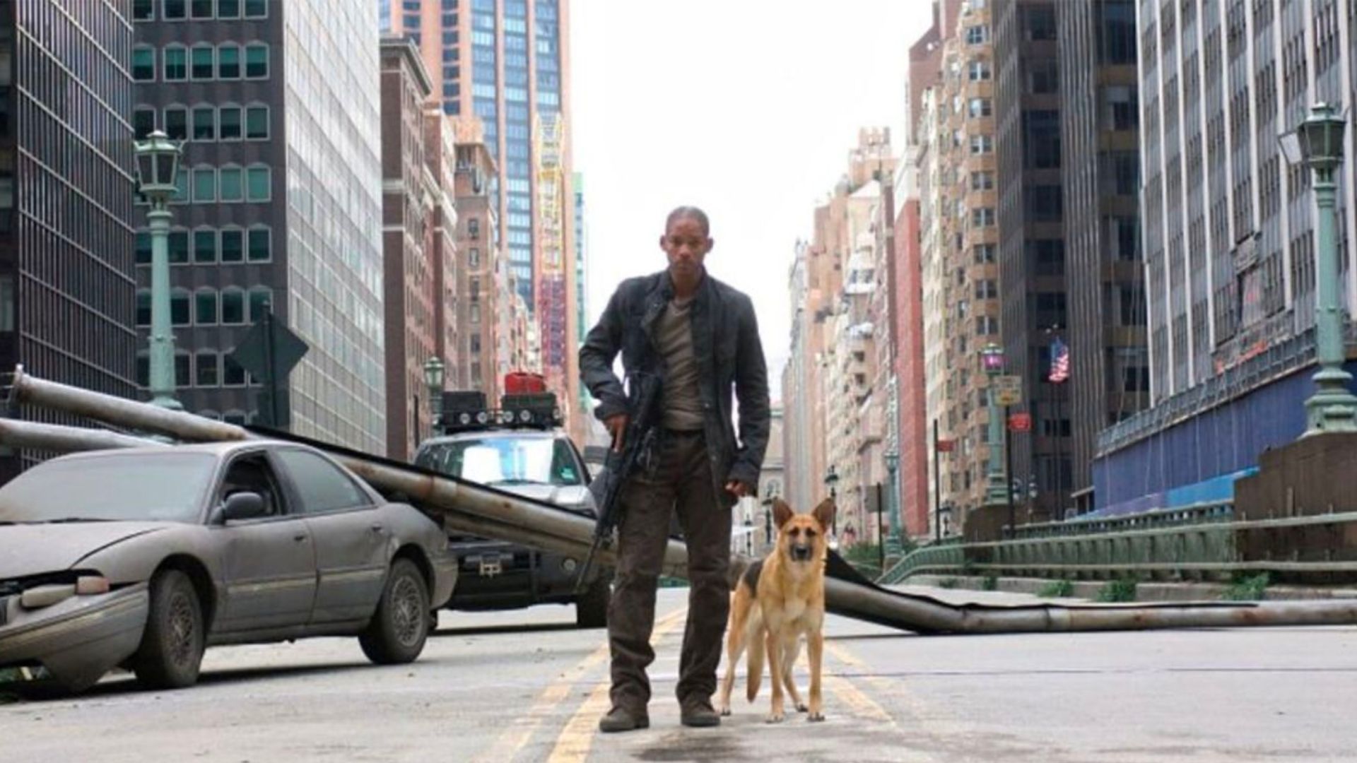 Will Smith y perrito en el apocalipsis 