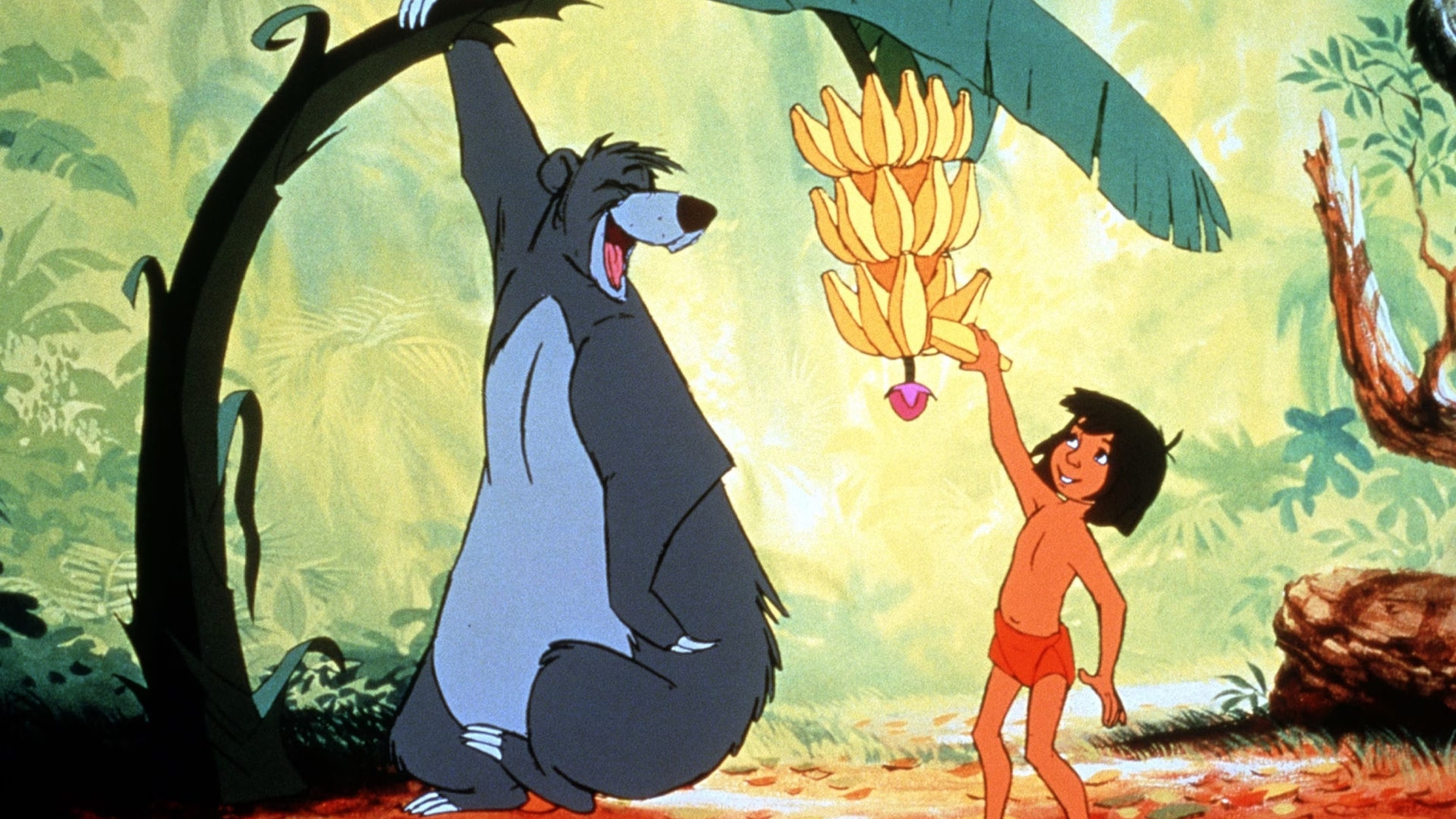 baloo osos del cine