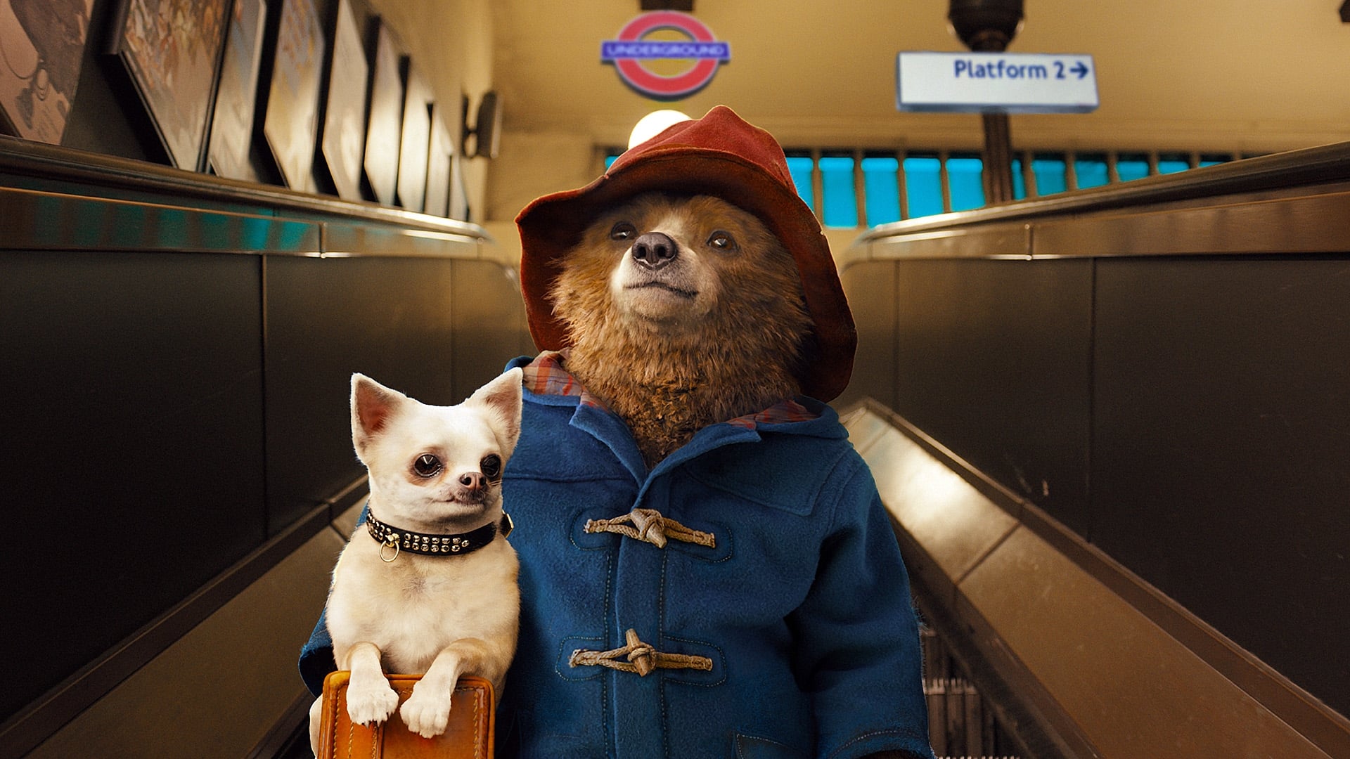 Paddington bajando escaleras eléctricas con perrito chihuahua