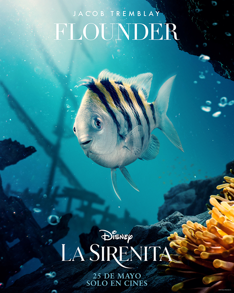 Póster de Flounder