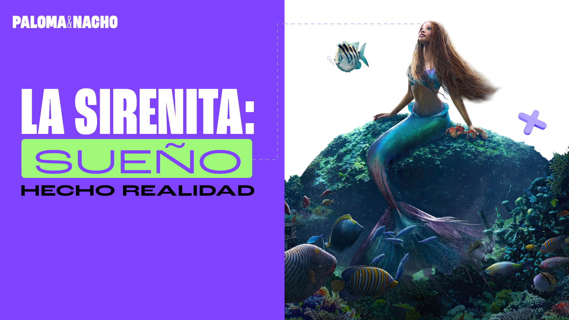 La sirenita un sueño hecho realidad película Disney