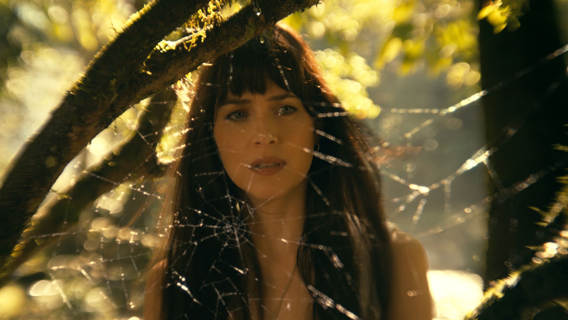 Dakota Johnson Madame Web Mamás del cine