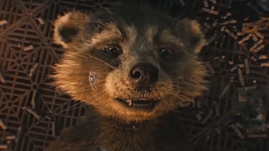 ¡Aplausos! PETA agradece la visibilidad que James Gunn da al maltrato animal en Guardianes de la Galaxia Vol. 3