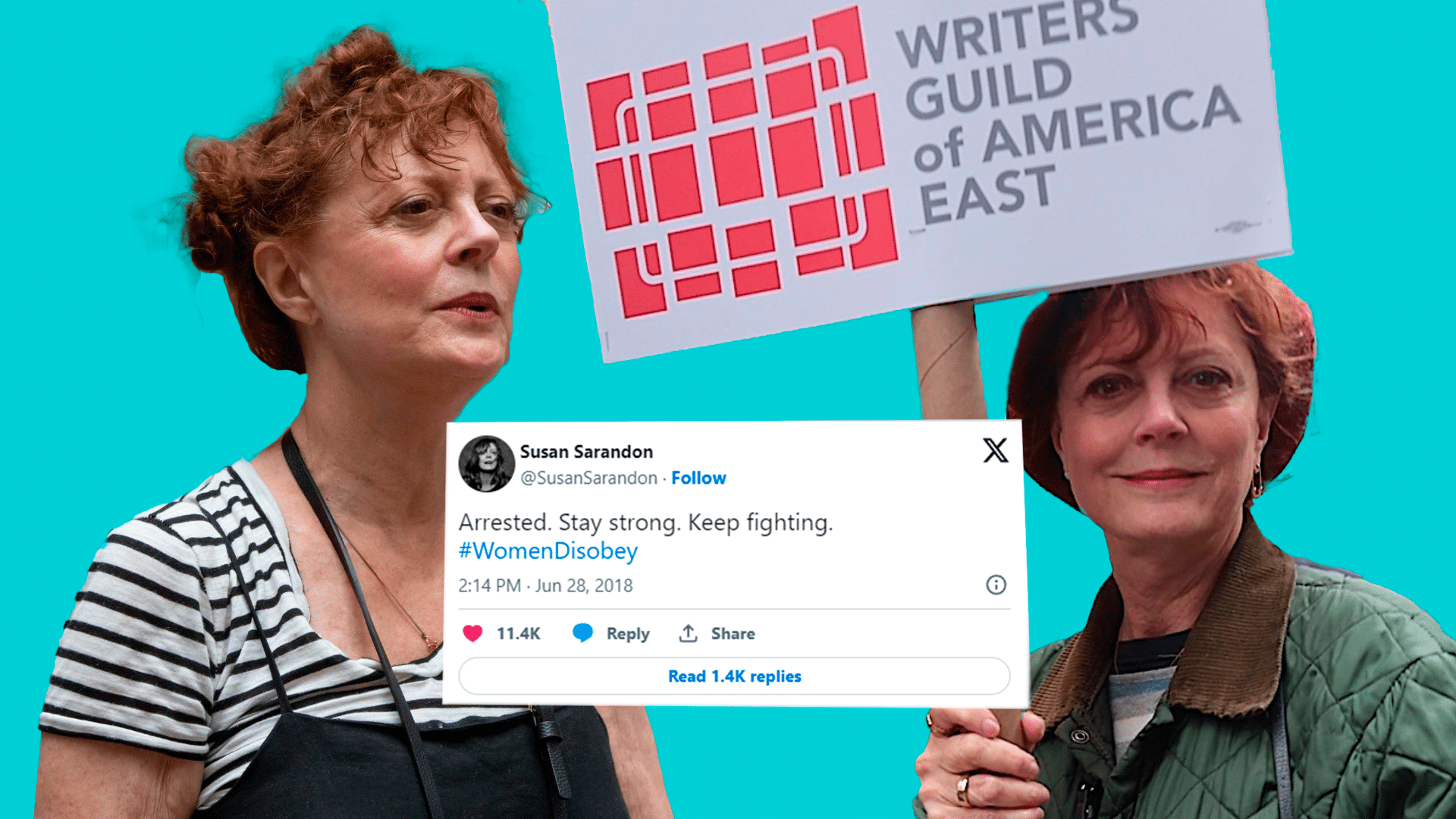 Sarandon activista en protestas de NY