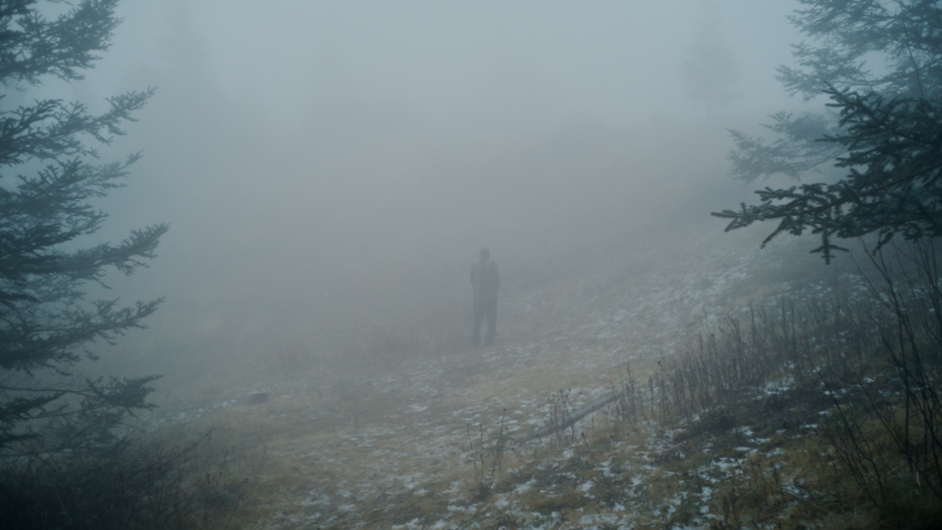 Una mano bajo la nieve, de José Esteban Pavlovich