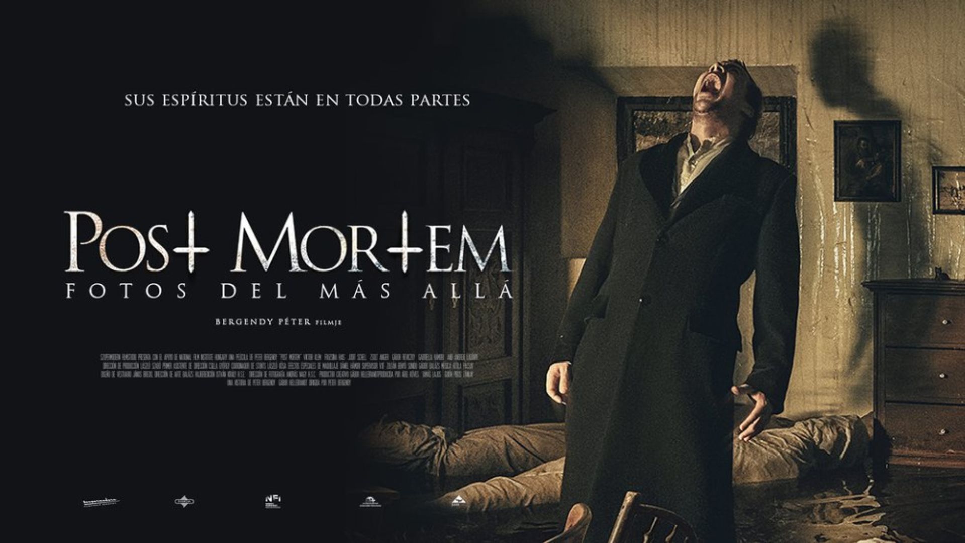 Post Mortem póster de la película