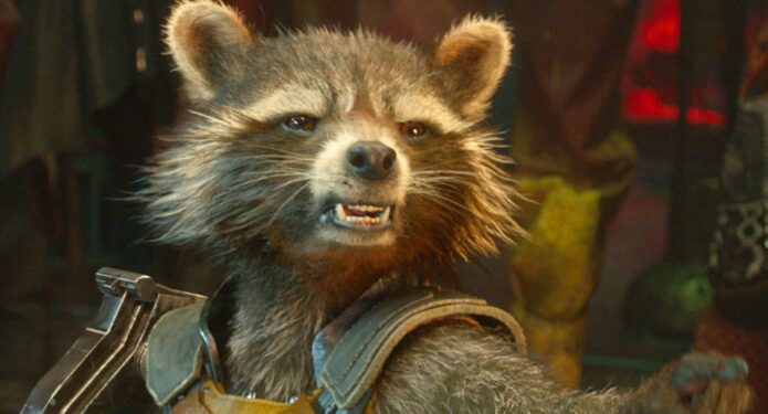 Rocket Racoon enojado