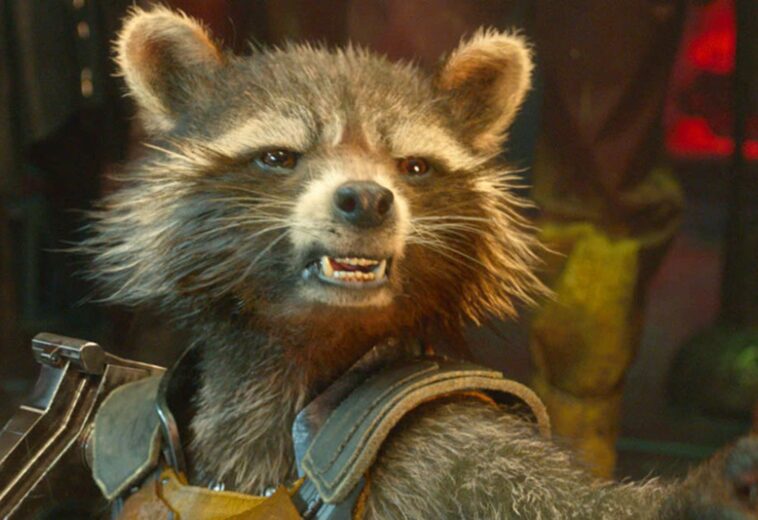 Rocket Racoon enojado