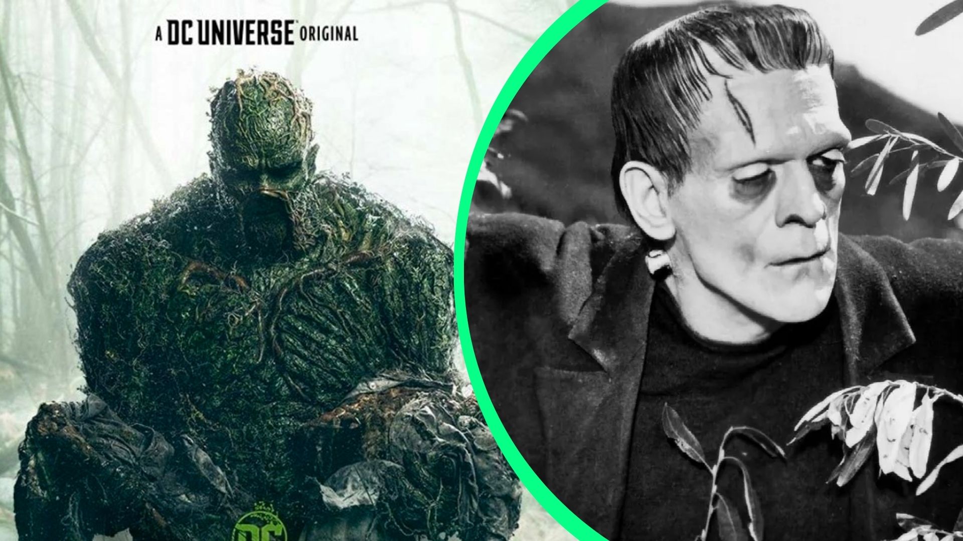 -swamp-thing-frankenstein