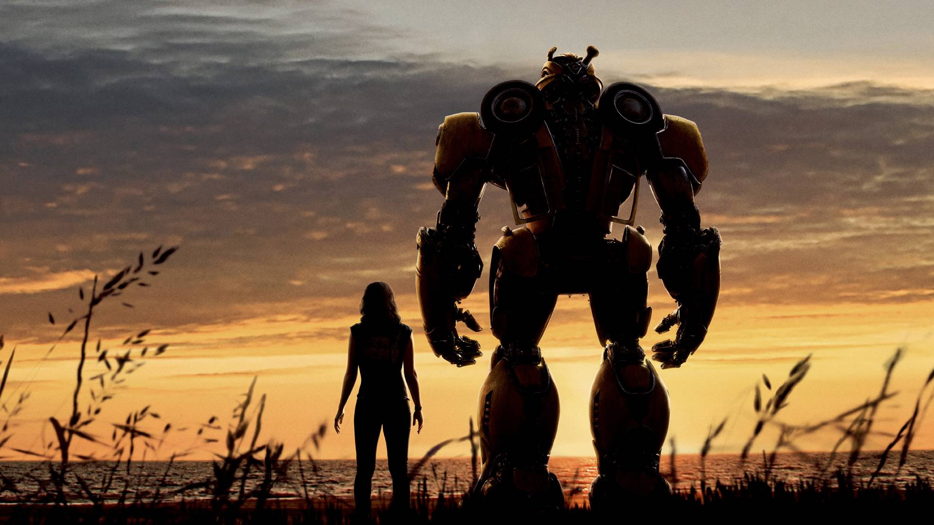 Transformers El despertar de las bestias Hailee Steinfeld Bumblebee sombras