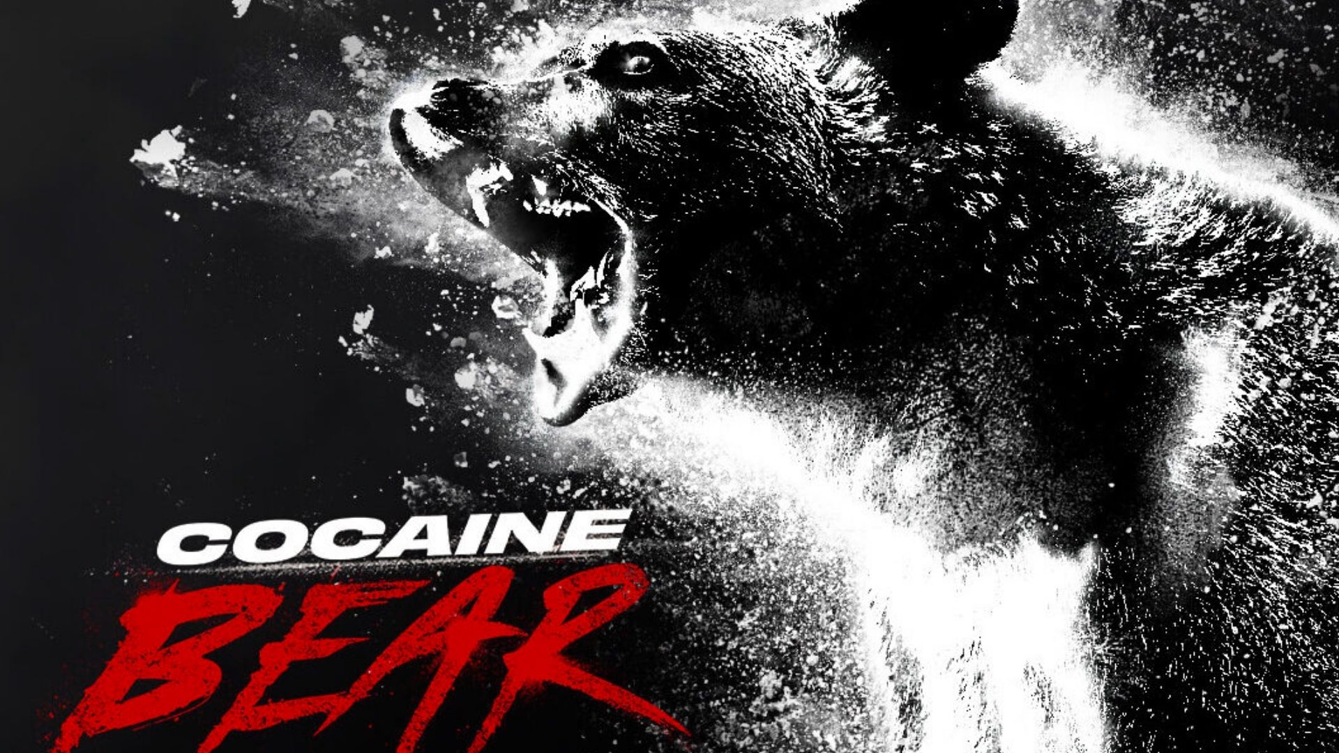 cocaine bear