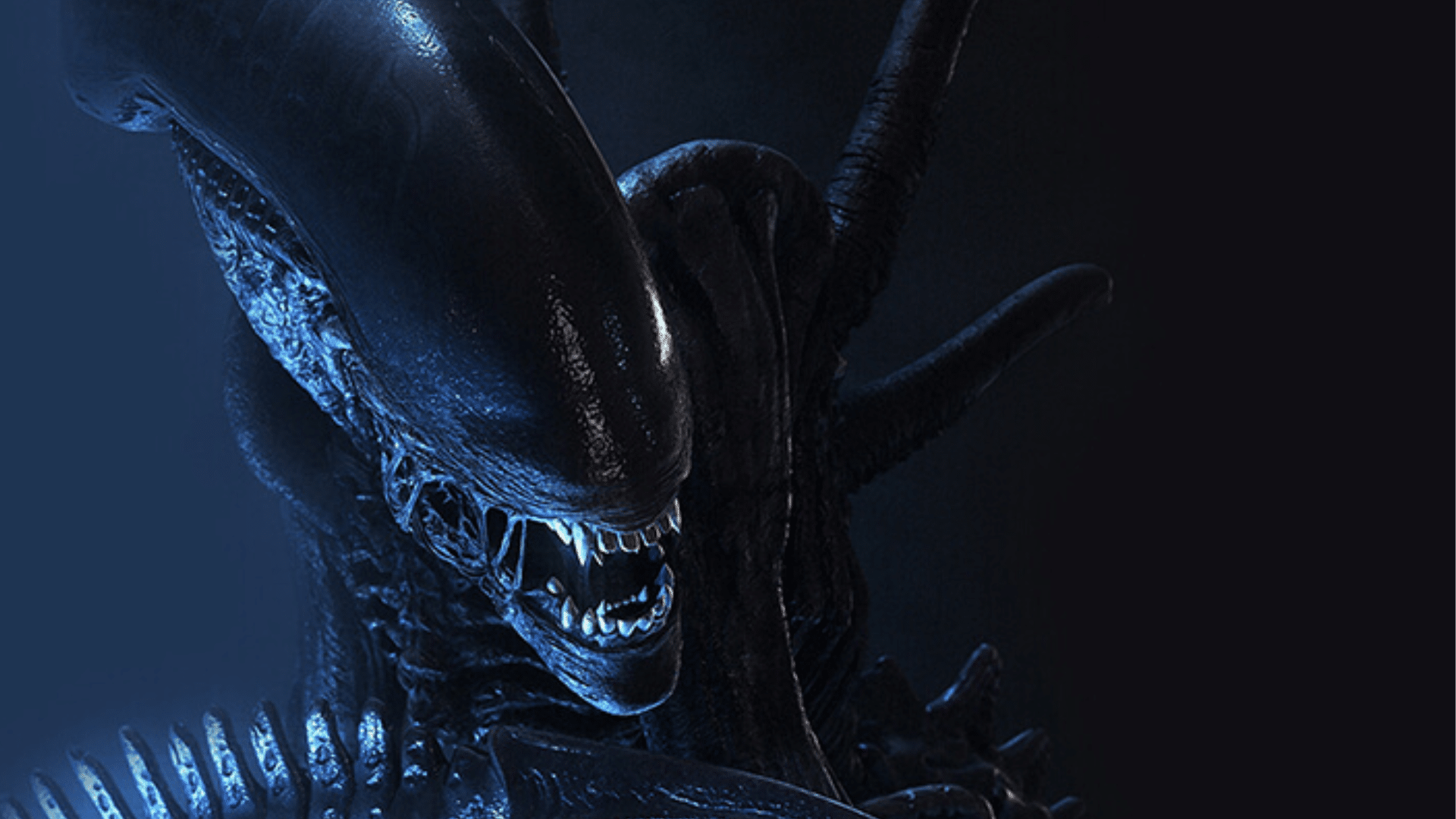 -alien-fede-alvarez-fecha-estreno-2024-