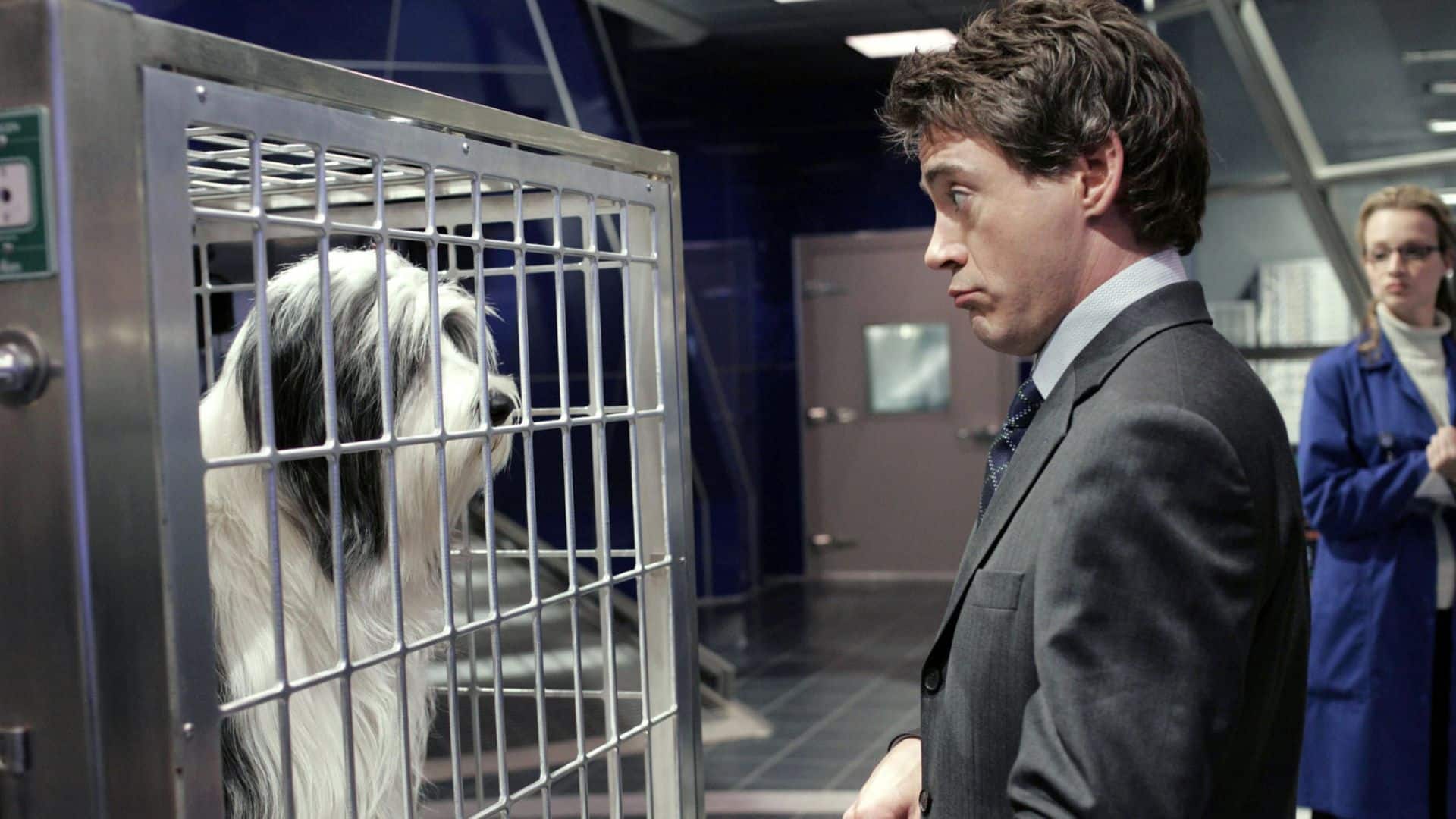 imagenes-pelicula-the-shaggy-dog