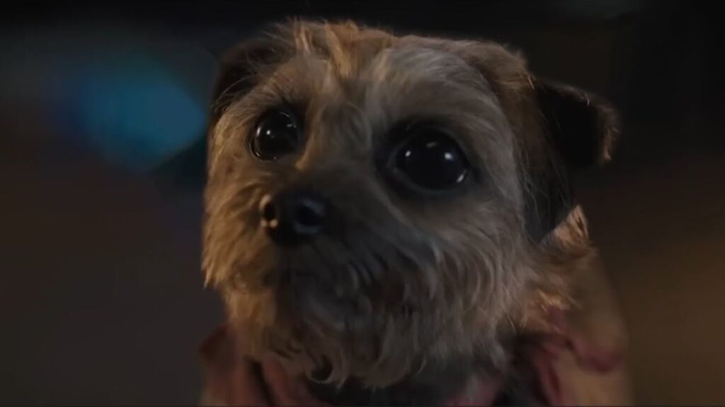 Hijos de perra película perritos adoptados