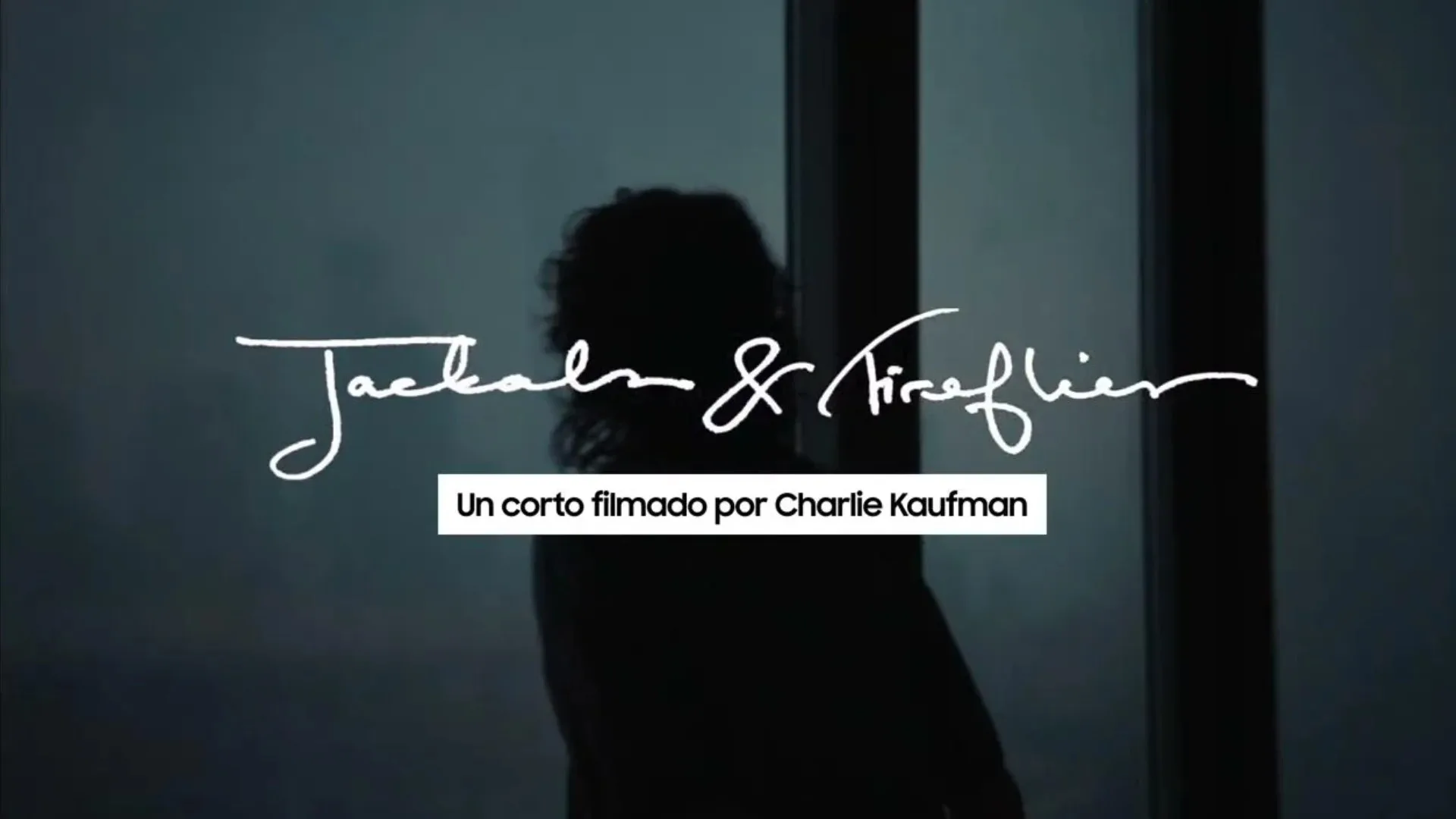 jackals and fireflies Charlie kaufman IA