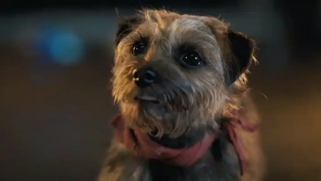 ¡Awww, ternurita! Director de la comedia Hijos de perra adoptó a uno de los perritos protagonistas