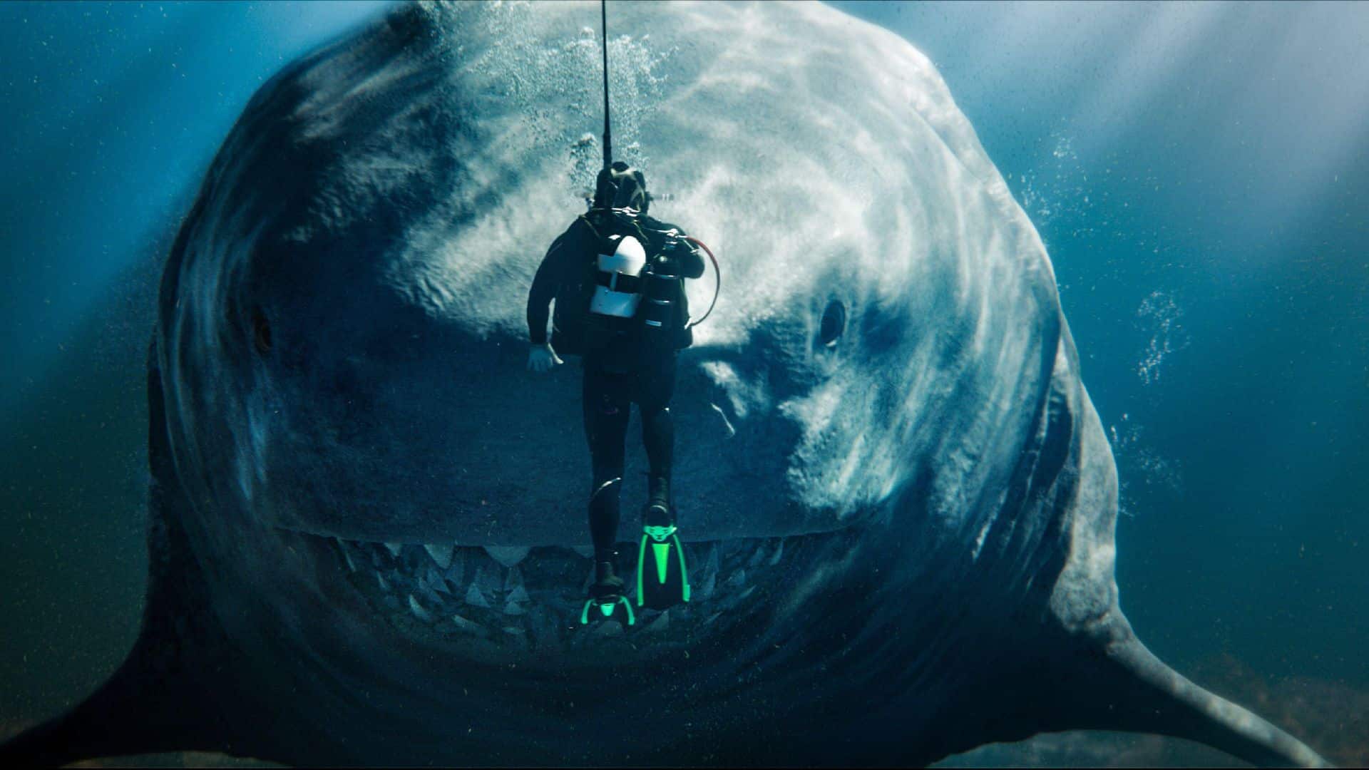 7-peliculas-sobre-tiburones-de-miedo