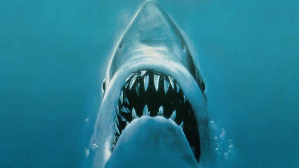 7 películas sobre tiburones que te harán temblar