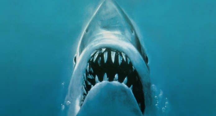 7-peliculas-sobre-tiburones-de-miedo