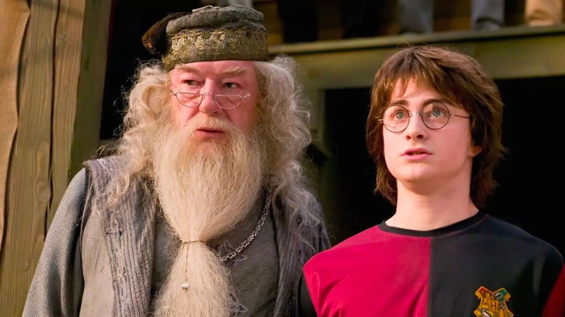 Harry Potter Michael Gambon