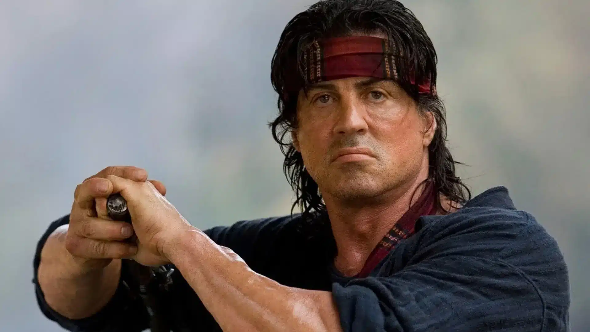 rambo stallone