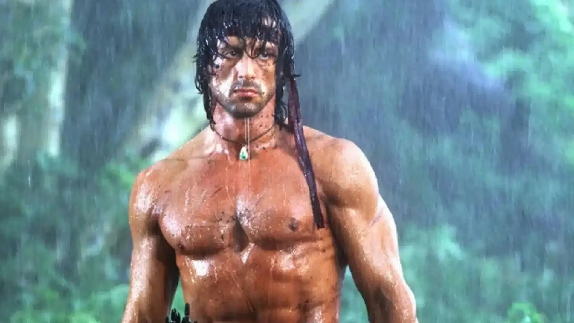 rambo stallone