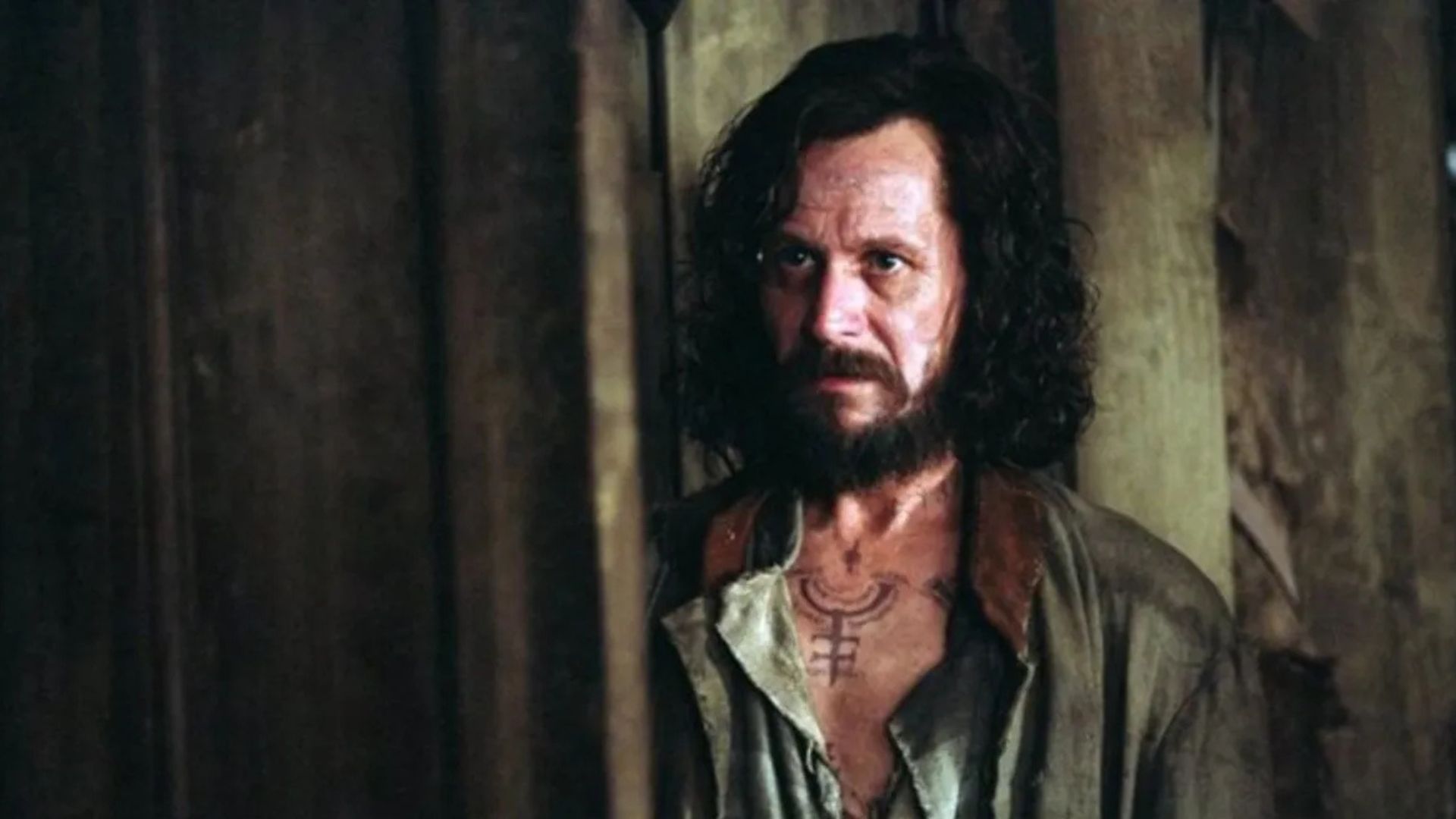 Gary Oldman Harry Potter