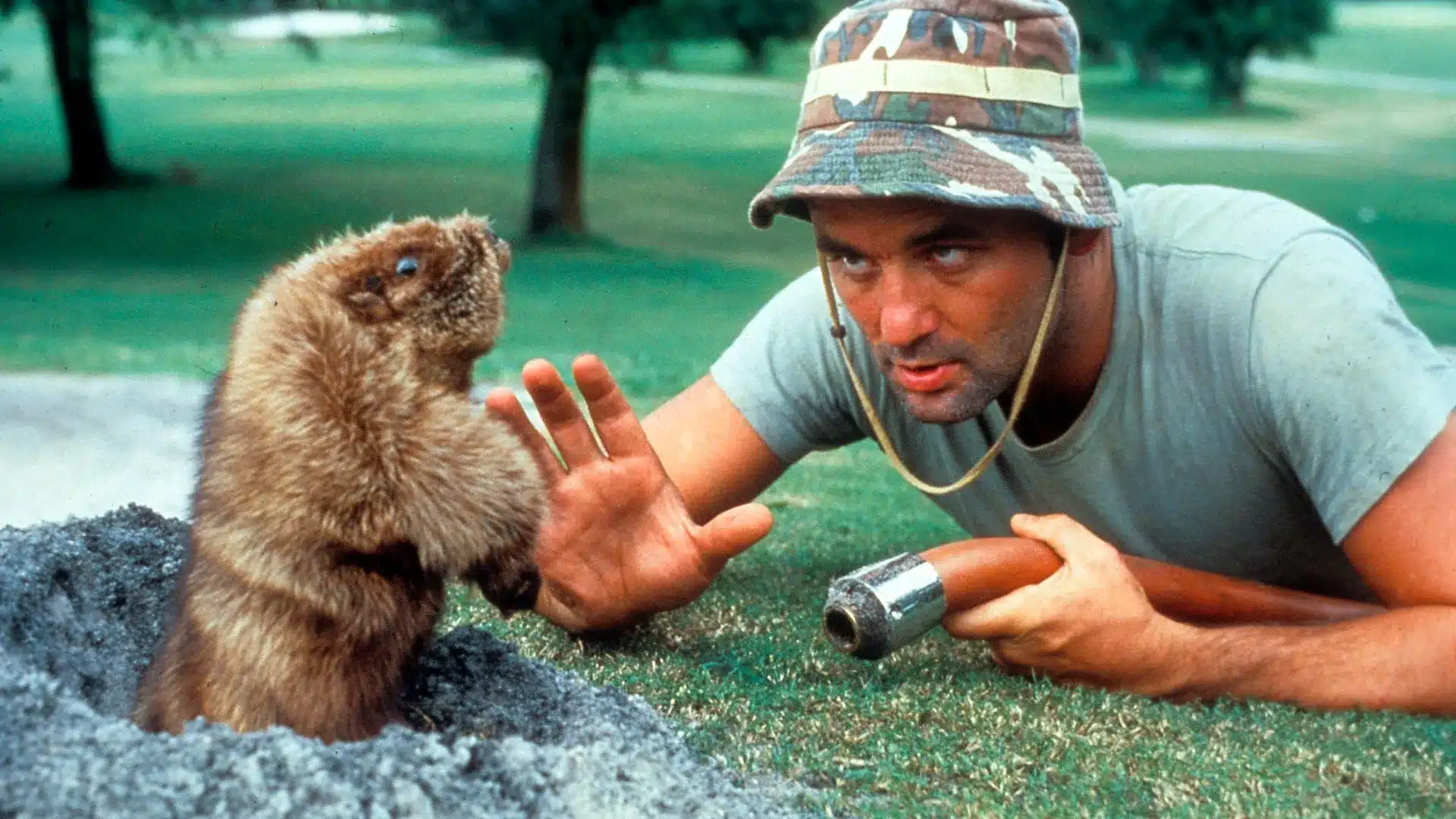 escena-de-caddyshack