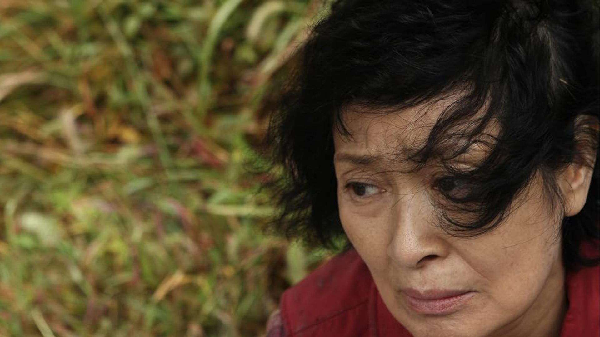 5 películas para descubrir a Bong Joon-ho, el genio detrás de Parásitos