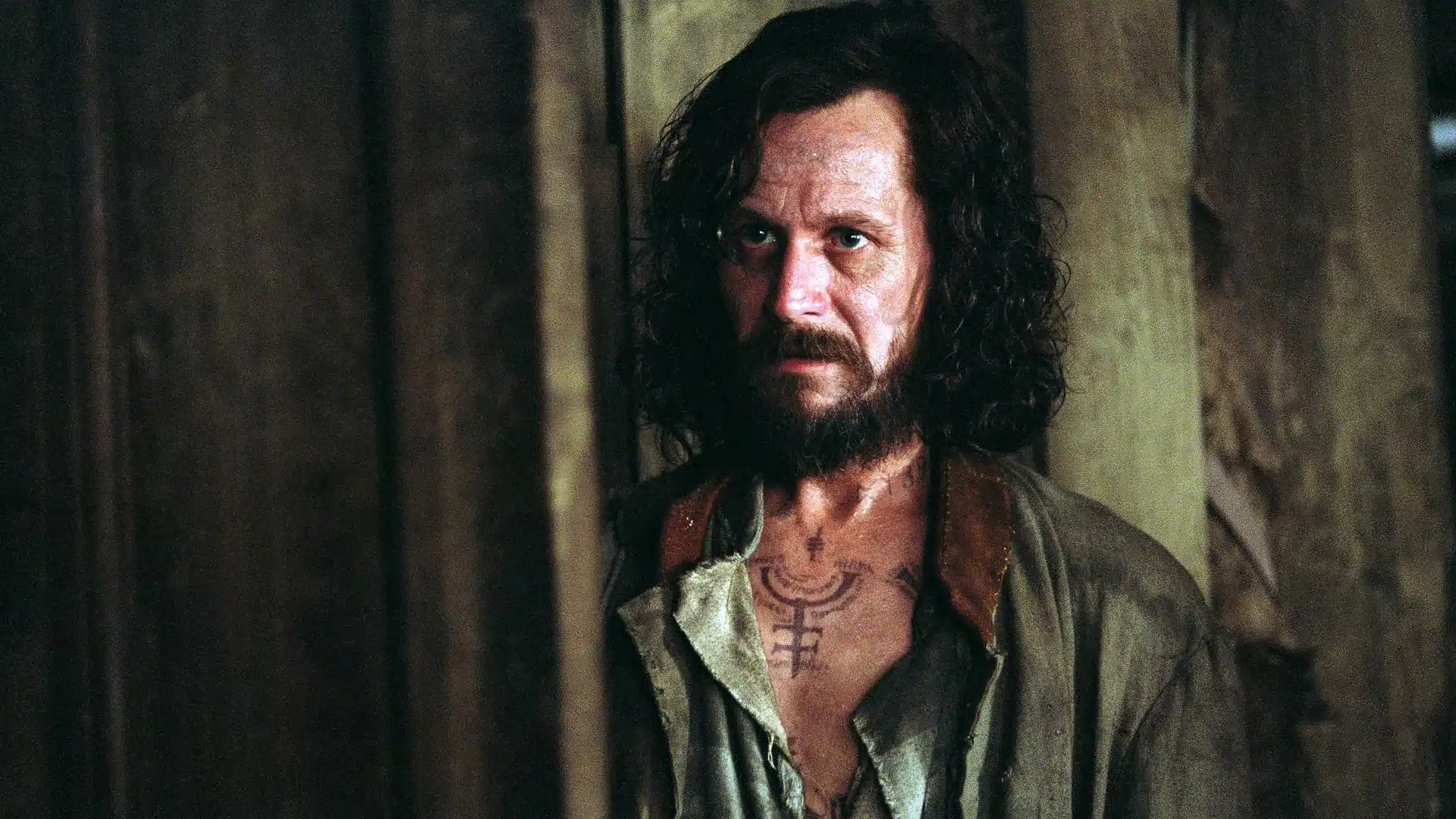 Gary Oldman Sirius Black