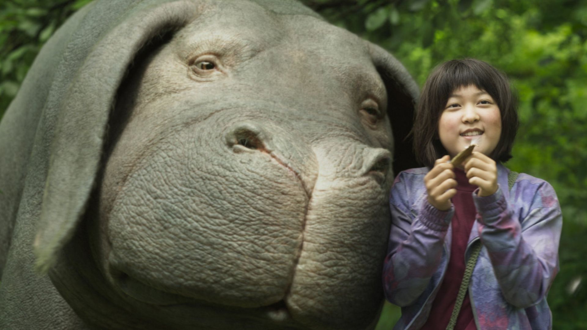 Okja (2017) película
