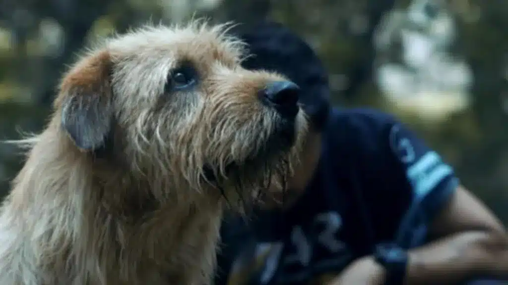 Tráiler y todo sobre Arthur: Una amistad sin límites