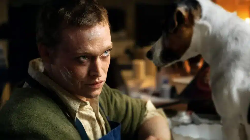 ¿Cómo se filmaron las escenas con perritos de Dogman: Vida inquebrantable?