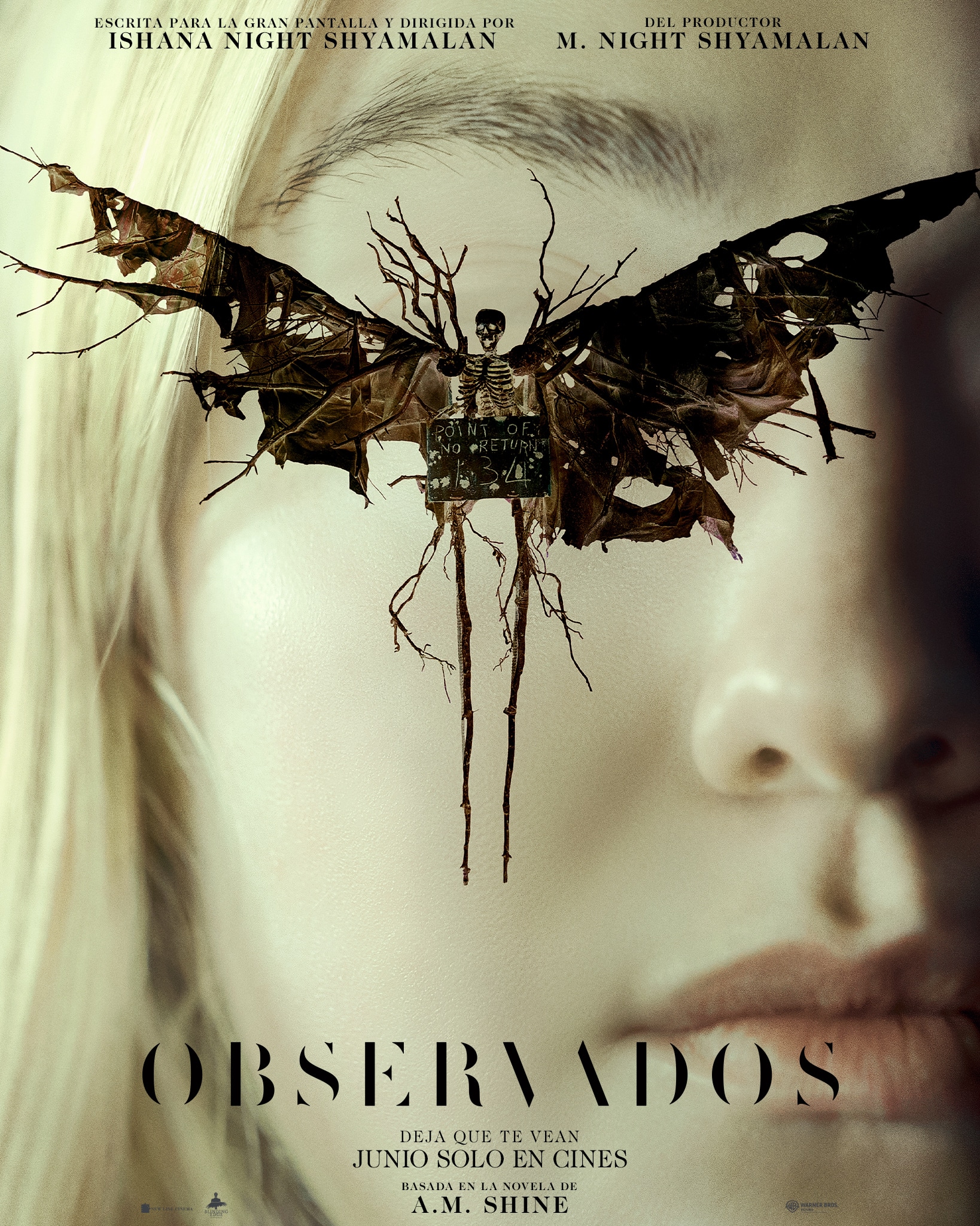 Póster película Observados