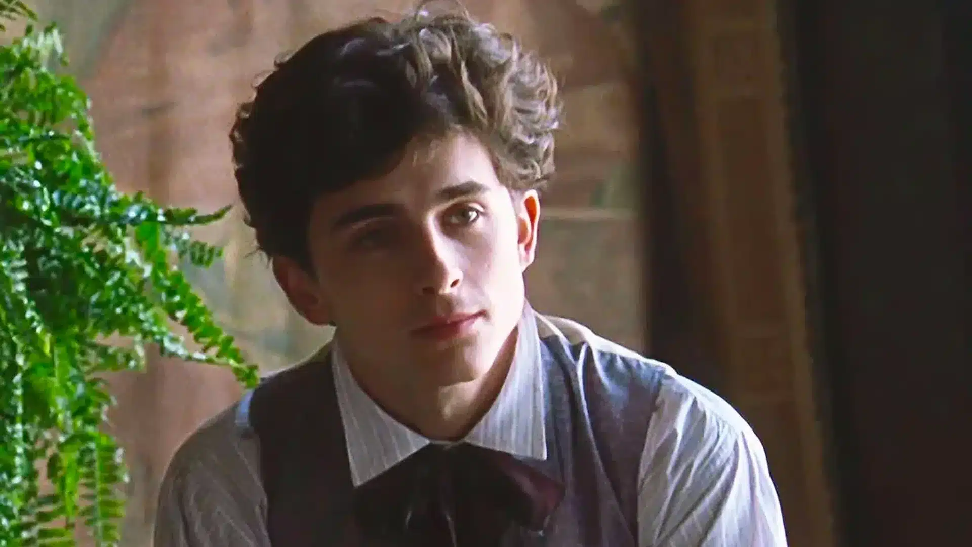 Timothée Chalamet Little Women