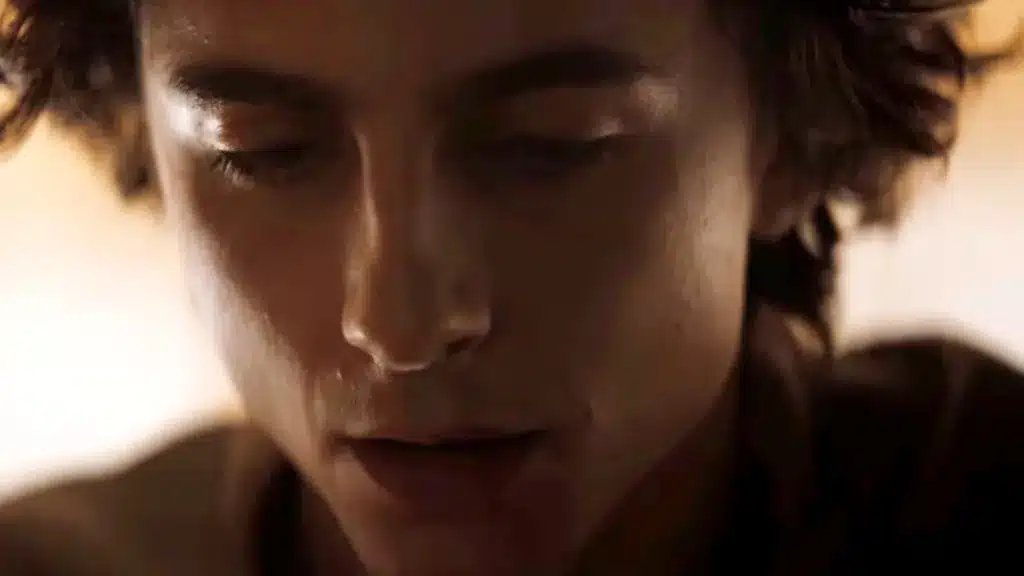 Ésta es la película de superhéroes que inspiró a Timothée Chalamet a convertirse en actor