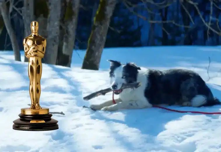 Oscar 2024: ¿Por qué Messi, el perro de Anatomía de una caída, no estará en la ceremonia?