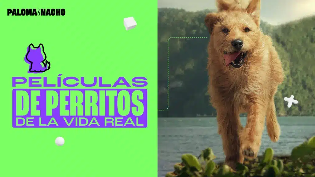 Arthur: Una amistad sin límites: películas basadas en perritos de la vida real