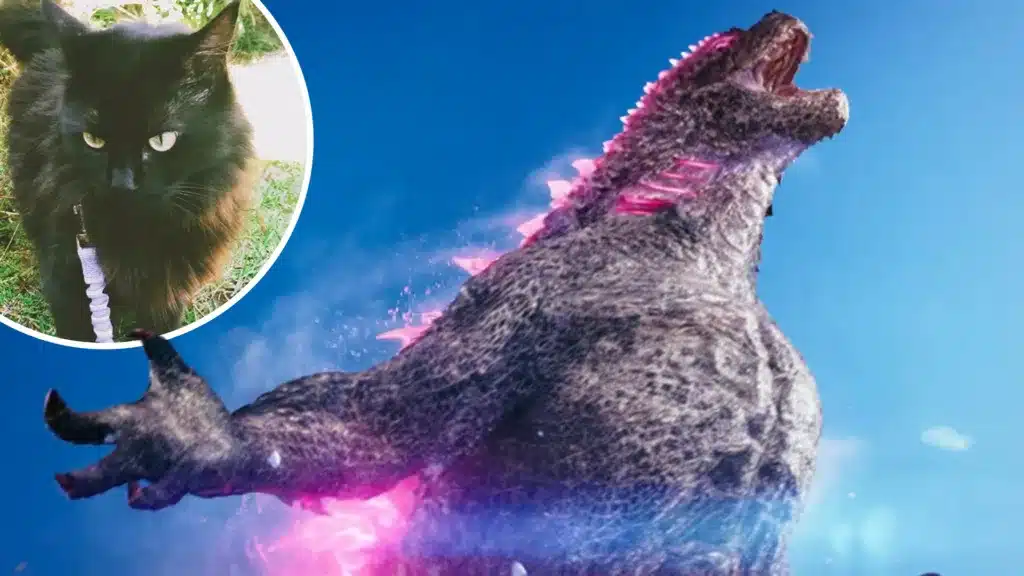 Godzilla y Kong: ¿Cómo la gata del director inspiró la película?